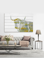 Yellow Steer