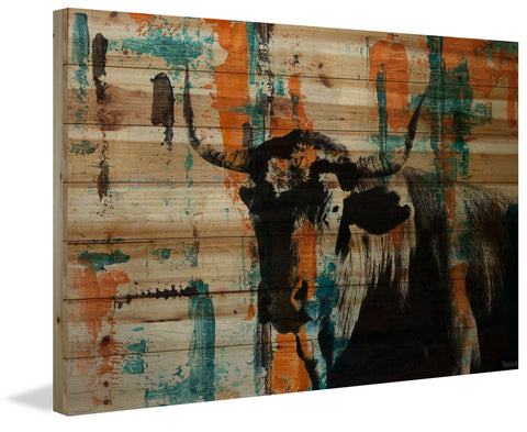 Orange Teal Steer