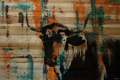 Orange Teal Steer