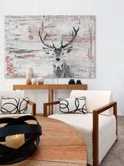 Deer Glare