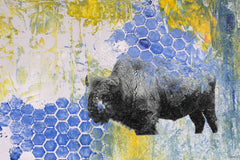 Buffalo Honeycomb