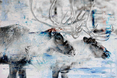 Reindeer Pair