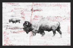 Buffalo Walking