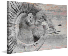 Eye of Ram
