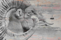 Eye of Ram