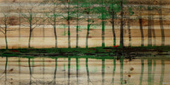 Green Trees Reflecting
