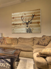 Inquisitive Deer