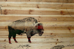 Lost Buffalo