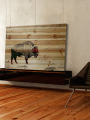 Lost Buffalo