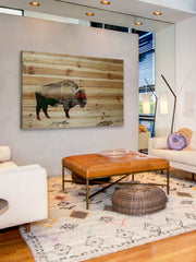 Lost Buffalo