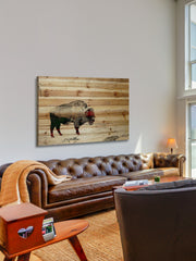 Lost Buffalo