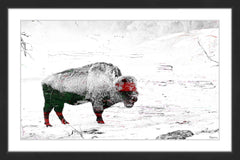 Lost Buffalo