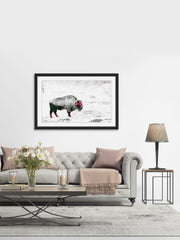 Lost Buffalo