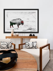 Lost Buffalo