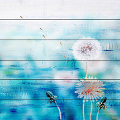 Dandy Puffs on Blue