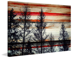 Trees Against Red Striped Sky