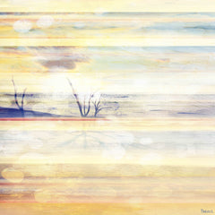 Desert Branches
