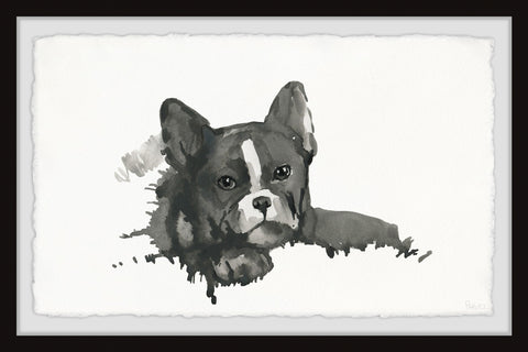Black Little Puppy