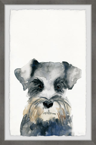 Little Gray Puppy