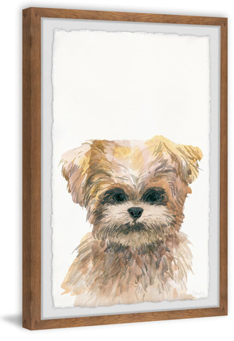 Brown Furry Friend