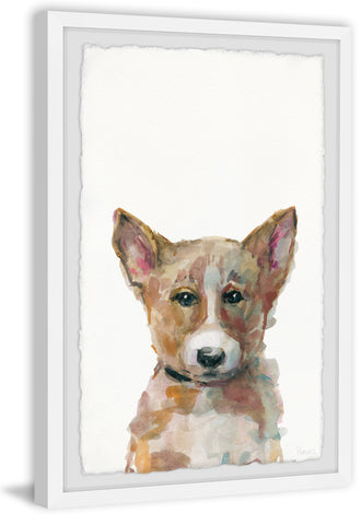 Sad Corgi