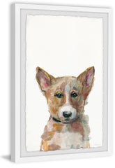 Sad Corgi