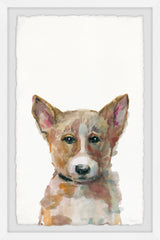 Sad Corgi
