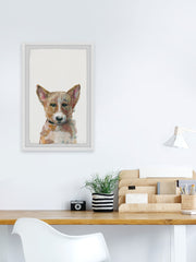 Sad Corgi