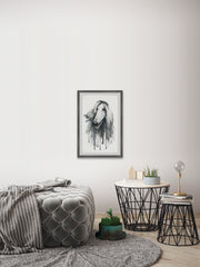 Shaggy Rough Collie