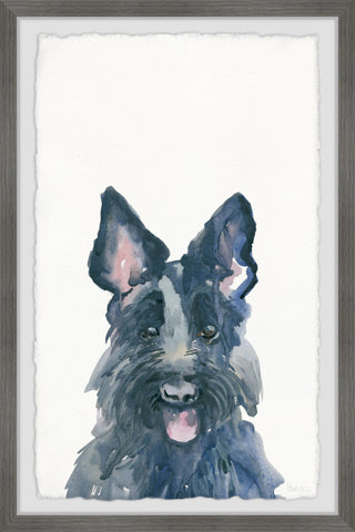 Cute Irish Wolfhound