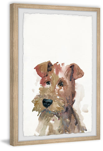Cute Brown Dog