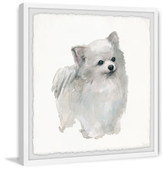 White Pomeranian
