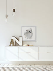 White Pomeranian