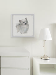 White Pomeranian