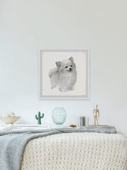 White Pomeranian