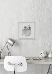 White Pomeranian