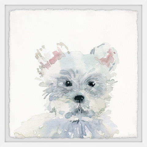 Teddy Dog