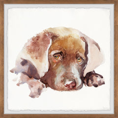 Sad Lab