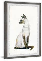 Egyptian Cat