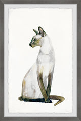 Egyptian Cat