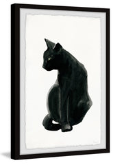 Mysterious Black Cat