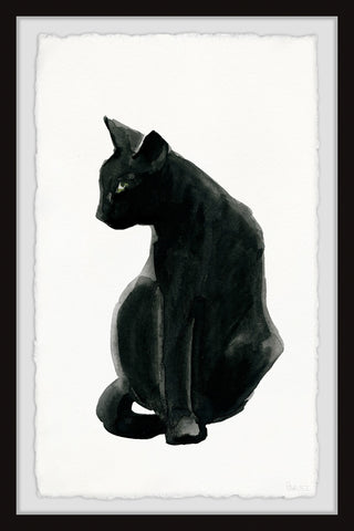 Mysterious Black Cat