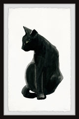 Mysterious Black Cat