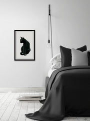 Mysterious Black Cat