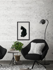 Mysterious Black Cat