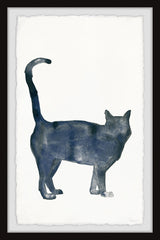 Shy Cat