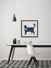 Snobby Cat