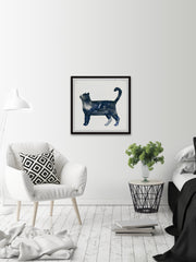Snobby Cat