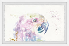 Parrot Colors