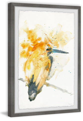 Fiery Woodpecker